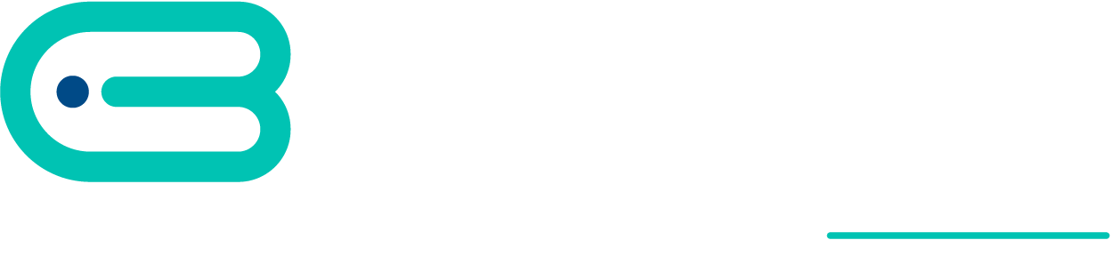 IBIZ Consultants